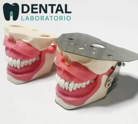 Dental Anesthesia Model Simulation - View Cost, Unique Dental Collections