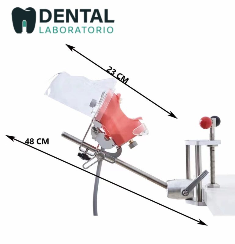 Dental Manikin Head - View Cost, Unique Dental Collections